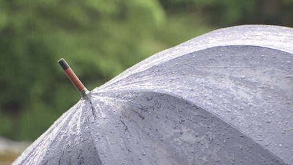 [날씨] 서울 비 시작, 전국 비바람...남해안·제주도 '여름철 폭우 급' / YTN