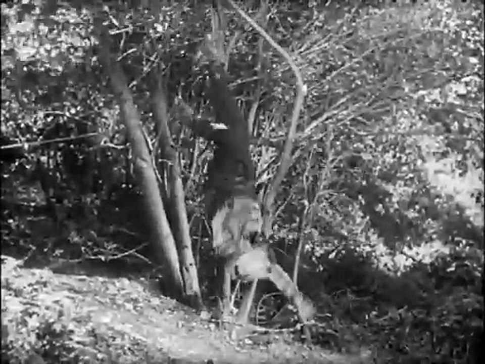 Gesetzloses Land | movie | 1948 | Official Trailer