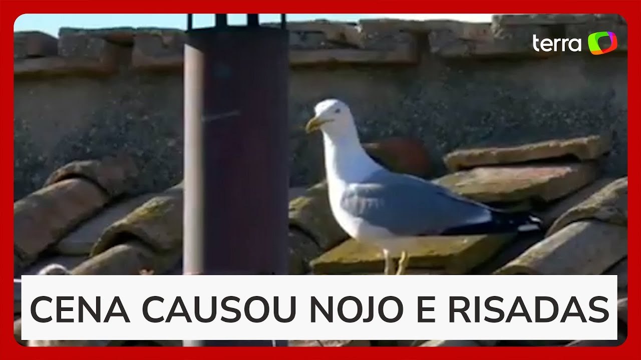 Gaivota regurgita rato no telhado da Capela Sistina segundos antes do anúncio do novo papa