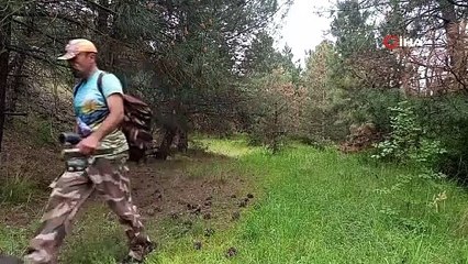 Doğanın unutulmaz anları! Ormanlar sakinleri böyle görüntülendi