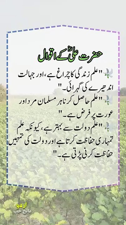 @Sayings
