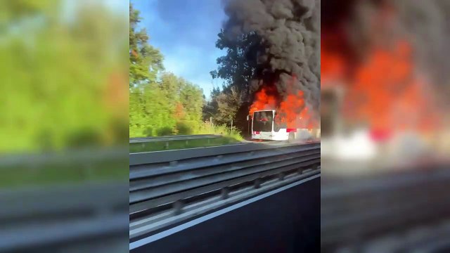 Paura sull'Aurelia a Grosseto: autobus prende fuoco, mezzo distrutto
