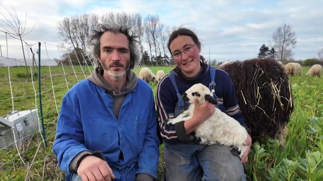 Bio DK - Sabots communs - Halles aux Sœurs Blanches - Dunkerque