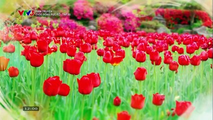CUỘC SỐNG RỰC RỠ - TẬP 65 - VTV3 THUYẾT MINH - PHIM HÀN QUỐC - CUOC SONG RUC RO
