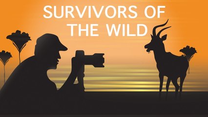 Survivors of the Wild | Relaxing Guitar Music for Inner Peace | Global Mantra