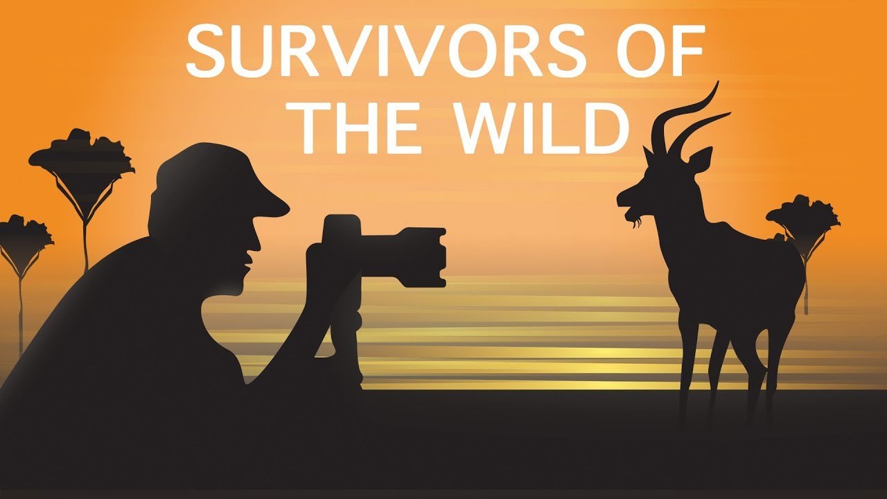 Survivors of the Wild | Relaxing Guitar Music for Inner Peace | Global Mantra