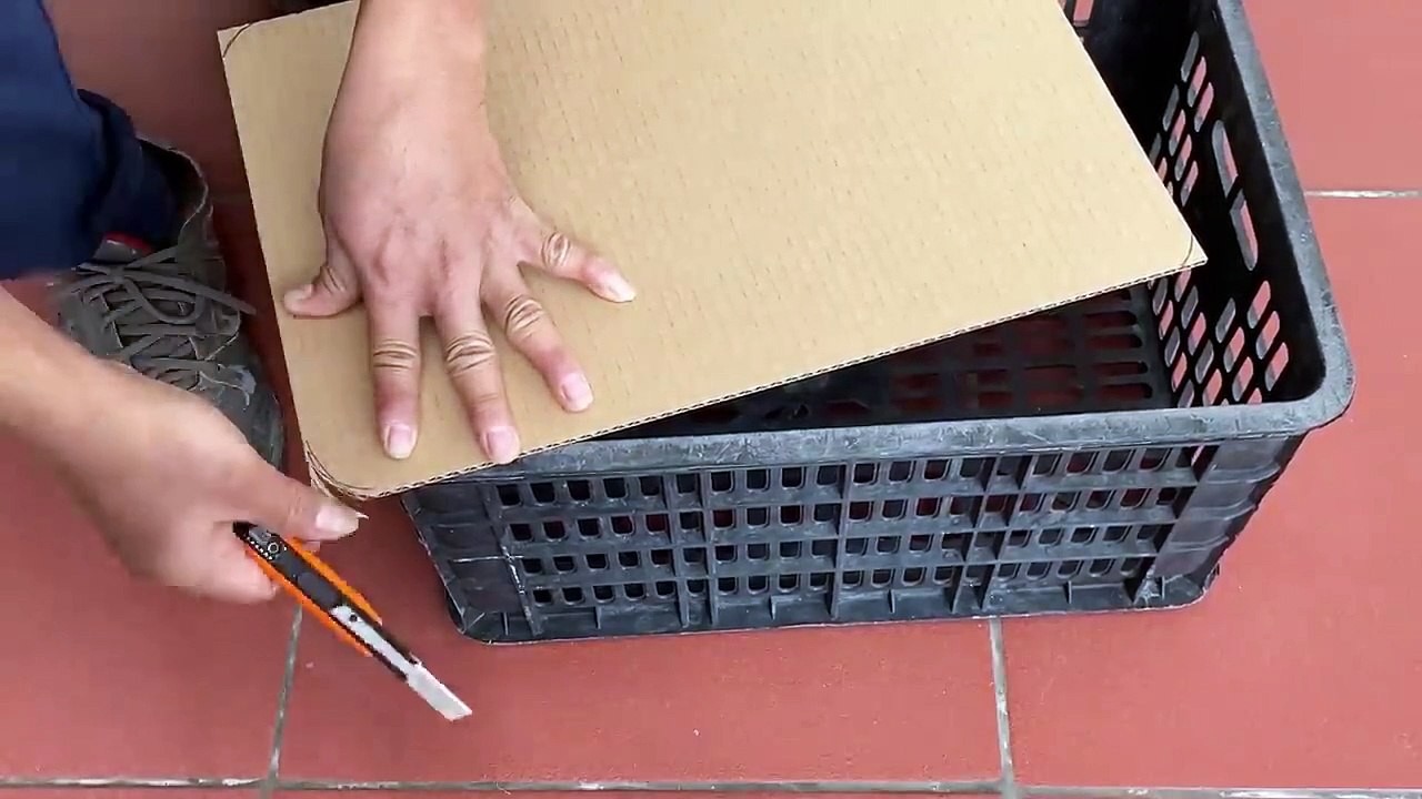 Creative And Outstanding - Easy Way To Make A Plant Pot With A Plastic Tray At Home