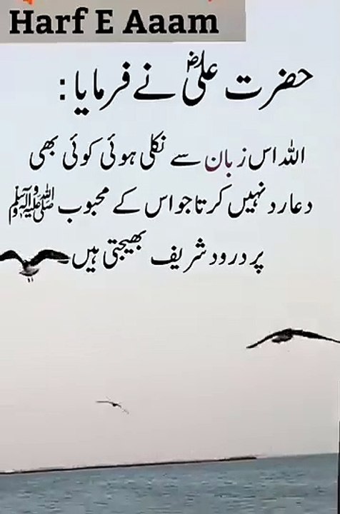 @Sayings