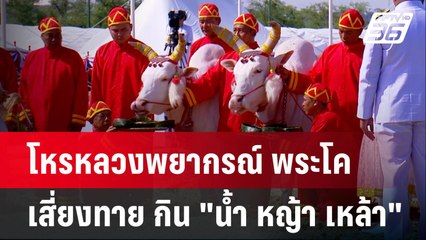 โหรหลวงพยากรณ์ พระโคเสี่ยงทาย กิน "น้ำ หญ้า เหล้า"| เที่ยงทันข่าว | 9 พ.ค. 68