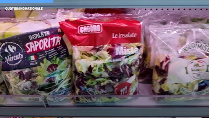 Quarta gamma e sostenibilità: intervista a Giulio Benvenuti