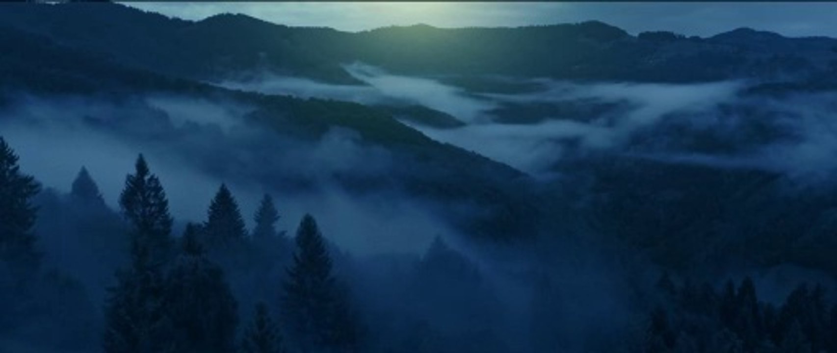 Witch Hunter - Der Hexenjäger Trailer DF