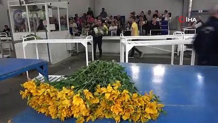 Yalova'daki Çiçek Mezatlarında Anneler Günü Hareketliliği