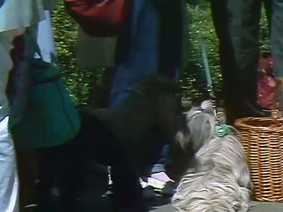 Tiere machen Leute (DDR 1988) - Folge 6