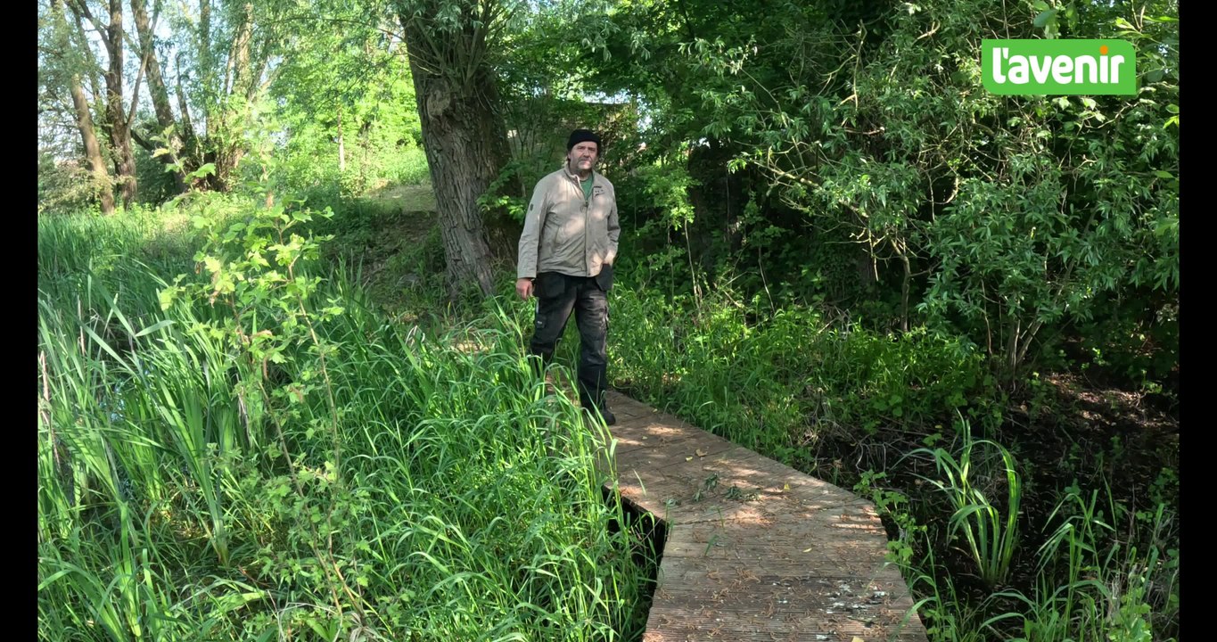 Visite au cœur de la réserve naturelle du Pic au vent à Tournai