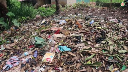 Région-Man/Lutte contre le paludisme : Endeavour Mining un modèle à Zouan-Hounien