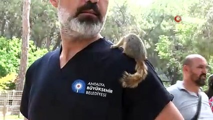 Antalya Doğal Yaşam Parkı’nda  annesiz misafirlere Anneler günü kutlaması