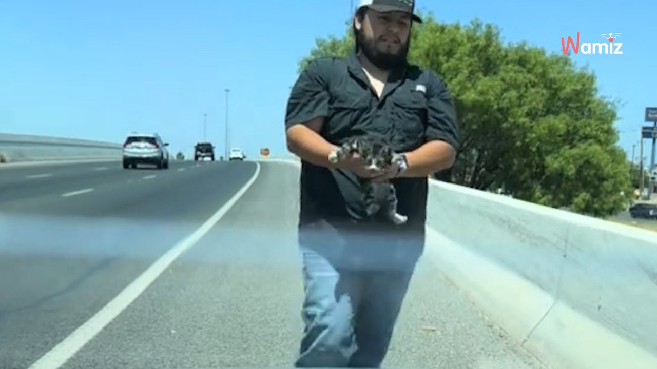 Autofahrer entdeckt etwas auf der fahrbahn: sofort bremst er und dreht um!