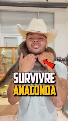 Comment Survivre à une Rencontre avec une Anaconda 🐍