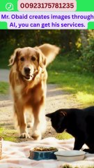 صداقة غير متوقعة بين كلب وقطة يمشيان ويأكلان معًا