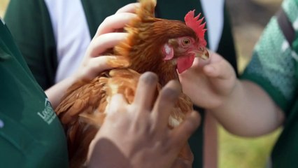 Calls for financial literacy to be included in the national curriculum