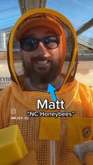 Education, entertainment