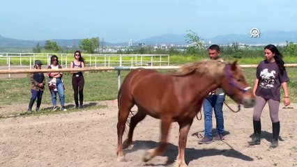 Bursa'da üniversite öğrencileri atları 'oyunlarla' eğitiyor