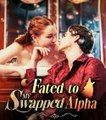 Fated to My Swapped Alpha (2024) - Full Movie