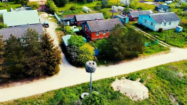 Spring’s Messenger: Discovering the Stork’s Symbolism and Journey