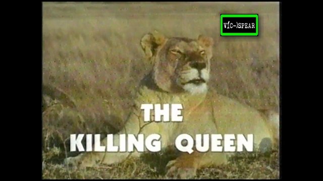 Matar para vivir: La Leona, la Reina Asesina - Documental (1997) - Español Latino - Episodio 6