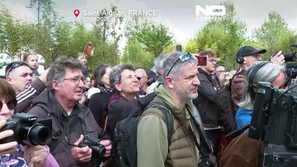 Lo zoo francese di Beauval accoglie le prime scimmie dal naso camuso dalla Cina