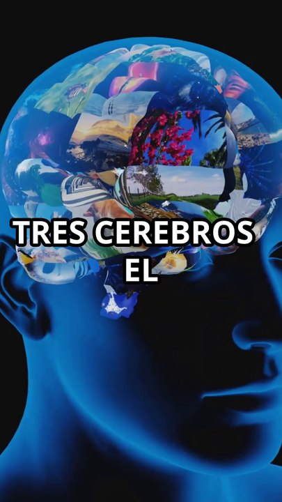 "LOS 3 CEREBROS: El Mapa Oculto que Controla tu Realidad"