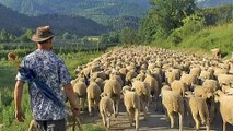 Les Dernières grandes Transhumances Bande-annonce VF
