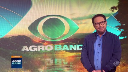 Brasil estima autossuficiência na produção de trigo em 10 anos