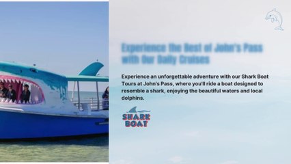 Exciting Daily Shark Boat Cruises in John’s Pass!