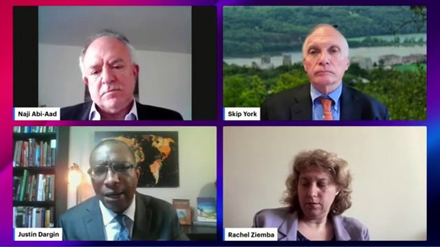 Global Energy Politics at a Crossroads | Dr. Justin Dargin on Gulf States & Climate Diplomacy