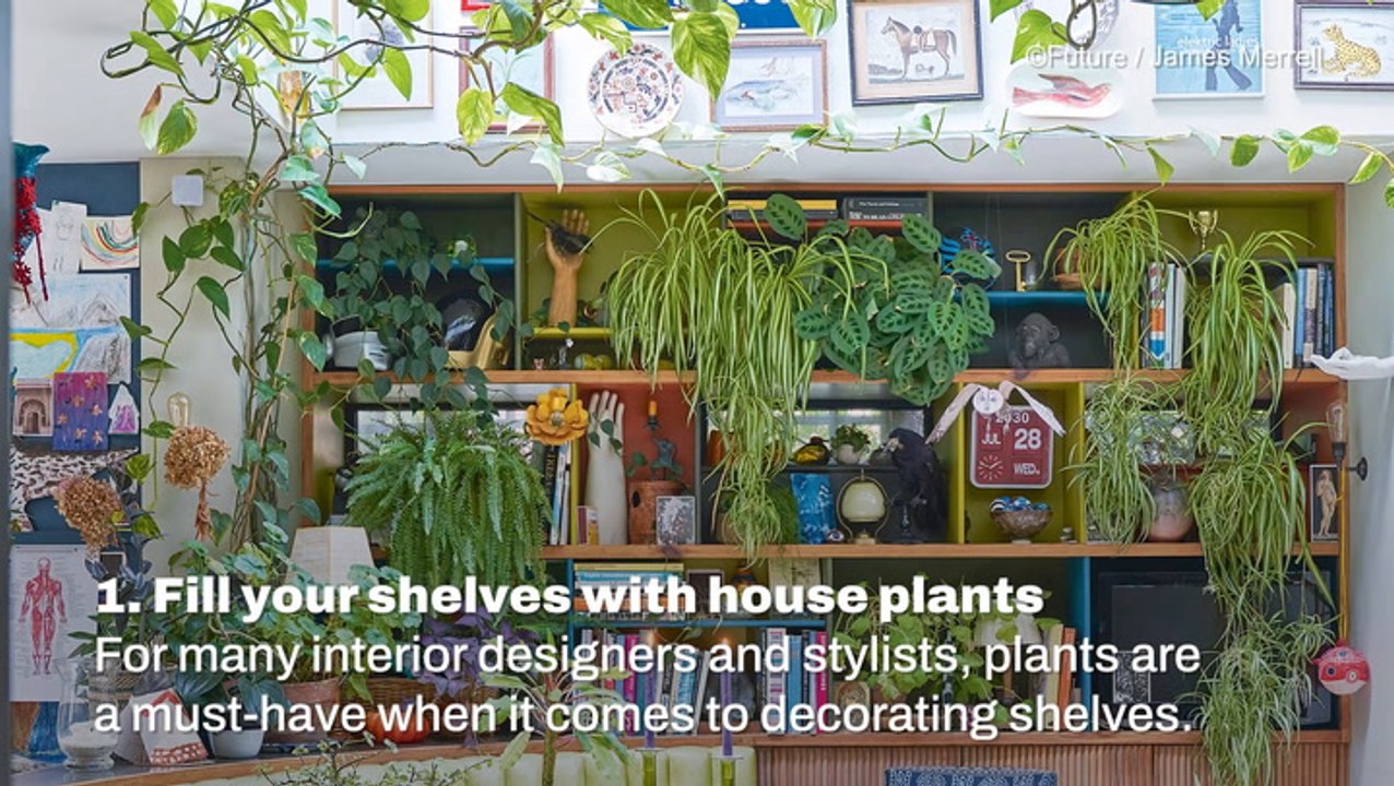 Decorating With Plants