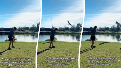 Golfer trifft versehentlich Vogel mitten im Schwung