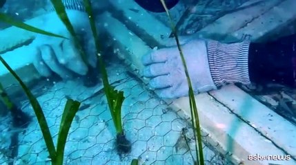 Terna, completata la posa del ramo est del Tyrrhenian Link