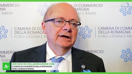 Le aziende romagnole guardano all'estero: "Serve supporto"