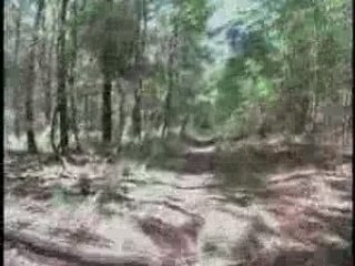 Raismes La forestiere