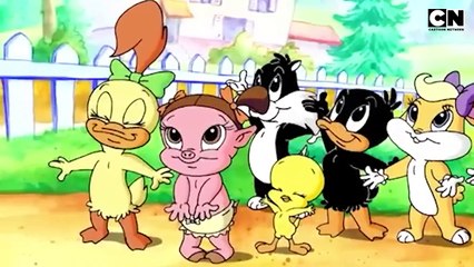 Baby Looney Tune Cartoon | Classic Cartoon Compilation
