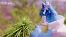 CBD skincare: tutti i benefici del cannabidiolo per la pelle