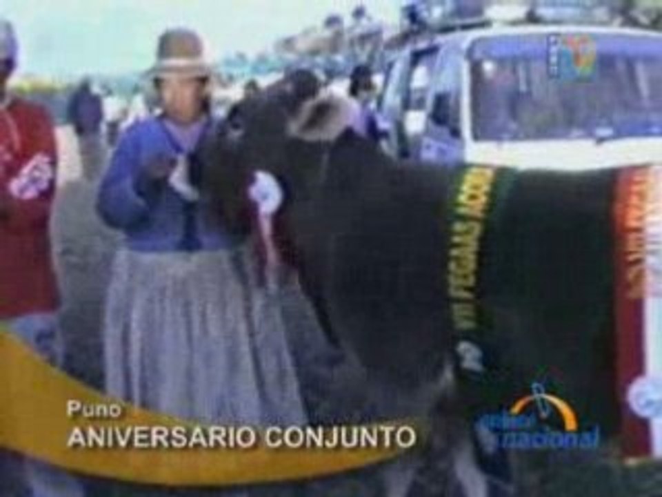 ANIVERSARIO CONJUNTO - PUNO