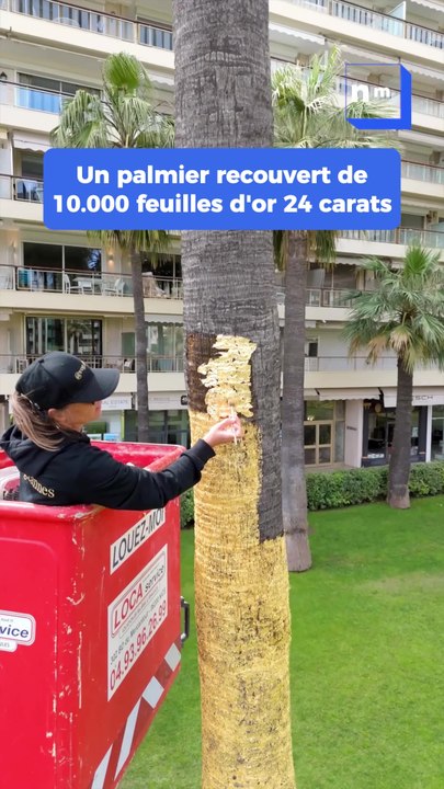 Un palmier recouvert de plus de 10.000 feuilles d’or 24 carats à Cannes