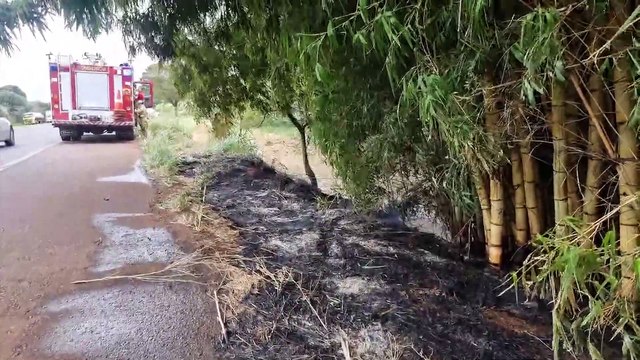 Bombeiros combatem incêndio às margens da BR-467 em Cascavel