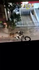 Torcida do Inter é evacuada de estádio após ameaça na Colômbia