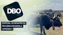 Especial: os desafios da pecuária espanhola | Episódio 3
