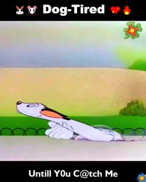 #dogs #cartoon #run #sn2sg #racing #sunnight #sunnightmusic #letmechaseyou #speed #funny #sunnightpop #sunnightblues #mischief #doggames #puppies #cute #playing #havingfun #2d #childhood #retro #arch #adventure