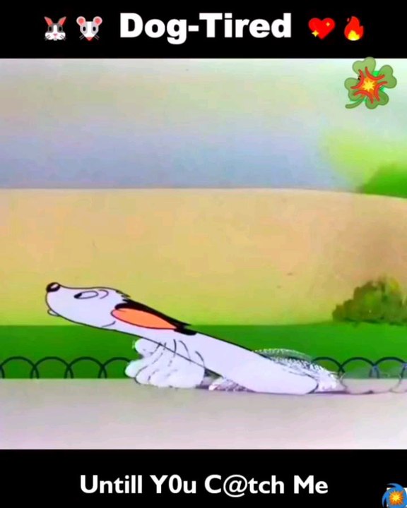 #dogs #cartoon #run #sn2sg #racing #sunnight #sunnightmusic #letmechaseyou #speed #funny #sunnightpop #sunnightblues #mischief #doggames #puppies #cute #playing #havingfun #2d #childhood #retro #arch #adventure