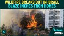 Israel Wildfire BREAKING: Apocalyptic Scenes as Flames Tear Toward Homes, Farms, Malls Near Nazareth